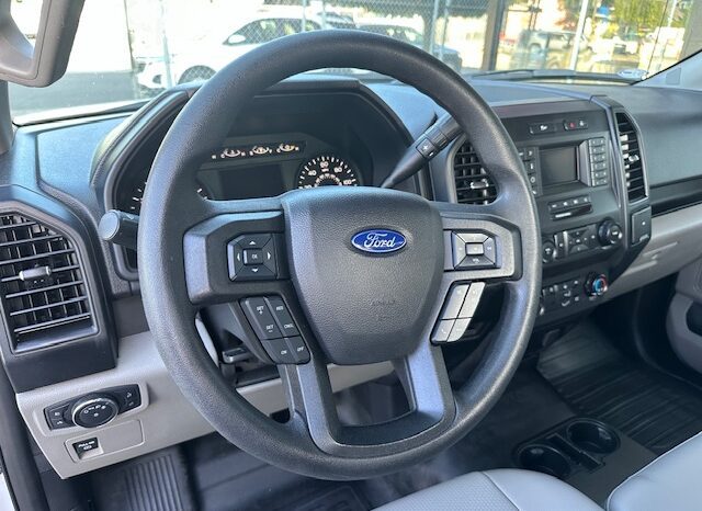 
								2019 Ford F150 Regular Cab Pickup **8ft LONG BED** full									