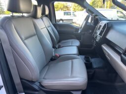 
										2019 Ford F150 Regular Cab Pickup **8ft LONG BED** full									