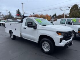 2022 Chevrolet Silverado 1500 Regular Cab **8ft SERVICE BODY**