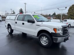 2014 Ford F150 Crew Cab 4x4 Pickup 13074