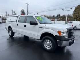 2014 Ford F150 SuperCrew Cab 4×4 Pickup