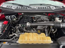 
										2020 Ford F150 Regular Cab 4×4 Pickup full									