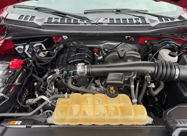 
								2020 Ford F150 Regular Cab 4×4 Pickup full									